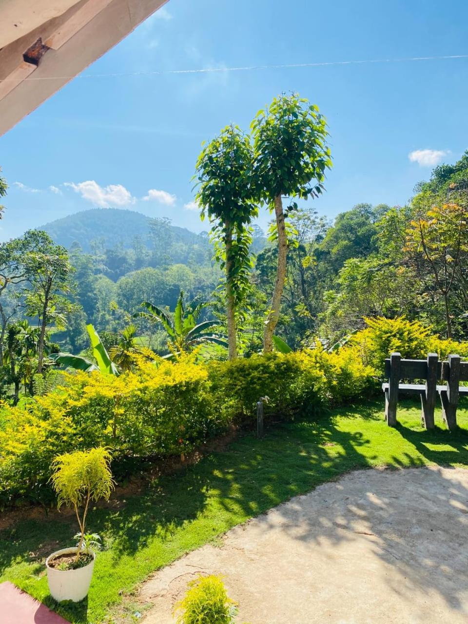 Ella Willow Cottage ห้อง รูปภาพ
